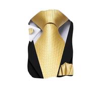 Dubulle Mens Paisely Silk Tie for Men Necktie and Pocket Square Set, A Gold, Medium