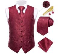 Dubulle Mens Vest and Tie Set Paisley Floral Waistcoat Neckties for Men Lapel Pin Clip Set Wedding Business, Wine Red, XX-L