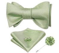 Dubulle Self Tie Bow Ties and Lapel Pin for Men Paisley Solid Mens Bowtie and Handkerchief Cufflinks Set Wedding, Sage Green, Medium