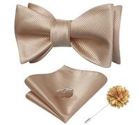 Dubulle Self Tie Bow Ties and Lapel Pin for Men Paisley Solid Mens Bowtie and Handkerchief Cufflinks Set Wedding, A Champagne, M