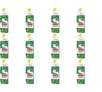 Duck 5In1 Liquid Fresh Pine - 750Ml (Pack Of 12)