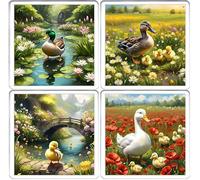 Duck Coaster Set. 4 different Duck Pictures on 10cm x 10cm Acrylic Coasters. Boxed Coaster Drip Mat Set.