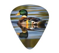 Duck Crossword Print 12pcs Guitar Cubes for Guitar and Ukulele, Unique Guitar Gift