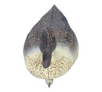 Duck Decoys, Porch Duck Plastic Outdoor Simulation Floating Decoying Simulation for Shopping Mall Decoration Courtyard Bay, 34.5x13cm