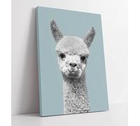 Duck Egg Blue Animal Collection Highland Cow Giraffe Print Canvas Wall Art Print Picture - 16 inch wide x 24 inch high (Frame Depth 30mm)
