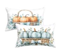 Duck Egg Color Pillowcases 2 Pack,Pumpkin Cushion Covers 30 x 50 cm Small Pillow Cases, Linen Cushion Covers Double Sided Printing Rectangle Decorative Pillows for Sofa Bed Patio Home Decor w0u-105