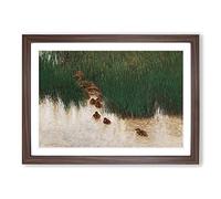 Duck Family by Bruno Liljefors Framed Print | A2 Walnut Framed Wall Art | Ready to Hang | Modern Animal Picture | Living Room Bedroom Lounge Office
