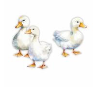 Duck Farm Animal Vinyl Decals, Kitchen Wall Stickers, Tile and Toilet Decor
