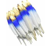 Duck Feathers Goose Feather Colored Fly Tying Materials for Jewelry Making Handicraft Decor(31,200pcs)