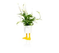 Duck Feet Planter Small Yellow