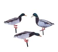 Duck Garden Stake Decoration Lifelike Weather Proof Outdoor Sculpture for Lawn Balcony (KLU072A+B+C)