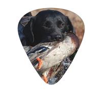 Duck Hunting Labrador Dog Cool Black Puppy Animal,12 Pcs Guitar Pick,3 Different Thickness Plectrums for Acoustic Guitar Bass Ukulele (0.46mm 0.96mm 0.71mm)