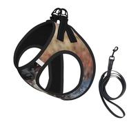 Duck Hunting Labrador Dog Cool Black Puppy Animal,Pet Harness,Adjustable Reflective Dog Harness,Pet Leash Vest,M