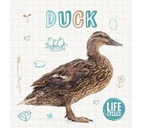 Duck (Life Cycles)