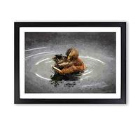 Duck Preening its Feathers in Abstract Framed Print | A2 Black Framed Wall Art | Ready to Hang | Abstract Animal Picture | Living Room Bedroom Lounge Office