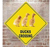 Ducks Crossing Sign Farm Quality Metal Sign Tin Sign 12x12 Inch