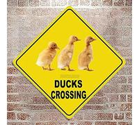 Ducks Crossing Sign Farm Quality Metal Sign Tin Sign 8x8 Inch