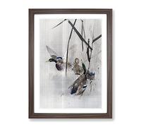 Ducks In The Rushes By Watanabe Seitei Asian Japanese Framed Print | A2 Walnut Framed Wall Art | Ready to Hang | Asian Animal Picture | Living Room Bedroom Lounge Office