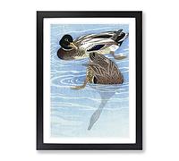 Ducks In The Water By Ohara Koson Asian Japanese Framed Print | A2 Black Framed Wall Art | Ready to Hang | Asian Animal Picture | Living Room Bedroom Lounge Office