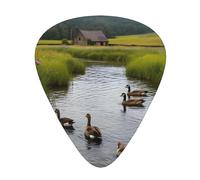 Ducks In Tranquil Stream Guitar Picks Gift Set - 12 Smooth Durable Plectrums For Acoustic, Electric & Bass Guitar, Perfect Present For Guitar Lovers & Musicians