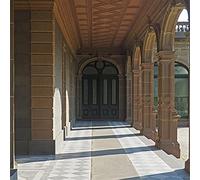 Ducks Ltd. - Modern Fiction (TAN VINYL) [VINYL]