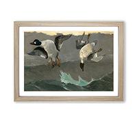 Ducks Right and Left by Winslow Homer Framed Print | A2 Oak Framed Wall Art | Ready to Hang | Modern Animal Picture | Living Room Bedroom Lounge Office
