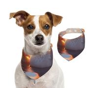 Ducks Swimming in The Lake Dog Bandana for Small Medium Large Dogs, Cat Dogs Kerchief Triangle Bibs Scarf for Girl Or Boy