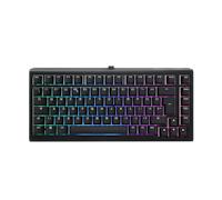 Ducky Project D Tinker 75% RGB USB Mechanical Gaming Keyboard Cherry MX Brown -