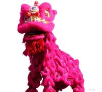 DUddTTW Outdoor Lion Dance Head Costume Dragon Dance Props Realistic Dragon Dance Parade Chinese New Year Dragon Dance Mascot Holiday(Rose)