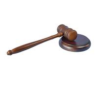 DuDuZui Premium Wooden Gavel with Sound Block