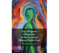 Due Diligence Obligations in International Human Rights Law