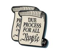 Due Process for All People Pin, Vintage Brooches for Men & Women, Women's Brooches & Pins, Motivational Self Improvement Quote Brooch, Positive Mindset Inspirational Quote Badge Accessories (2pcs)