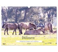 Dülmen - wild horses, castles and palaces UK-Version (Wall Calendar 2026 DIN A3 Landscape), CALVENDO 12 Month Wall Calendar