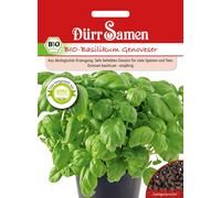 Dürr Samen Organic basil - 1 Pkg