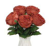 DuHouse 5 Pcs Real Touch Artificial Roses, Silk Fake Rose Flowers Bouquet for Home Wedding Table Decorations, Faux Roses for Vase Display, Valentine's Day, Party, DIY Crafts(Burnt orange)