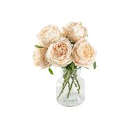 DuHouse 5Pcs Real Touch Silk Roses Fake Champagn Roses with Stems Artificial Flowers for Arrangement Wedding Party Home Decoration