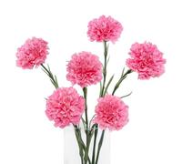DuHouse Carnations Artificial Flowers 6pcs, Pink | Latex Carnation Flowers, Real Touch, Flexible Stems, for Wedding Party Office Home Decor