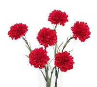 DuHouse Real Touch Artificial Carnation Flowers 6pcs, Silk Faux Flowers, Fake Carnation with 45cm Long Stems for Wedding Home Table Centerpieces(Red)