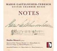 DUILIO MEUCCI - NOTES - cd - P4z