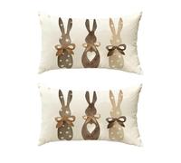 DUINIU 2 Pieces Throw Pillowcases, Easter Pillowcases, Bunny Pillowcases, Cartoon Pillowcases, Plush Pillowcases, Decorative Pillowcases, Home Furnishings, Suitable for Living Room and Bedroom Use