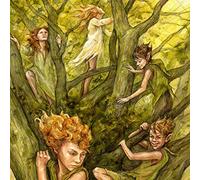 Duke 72 - The Mid Shires Herald [VINYL]