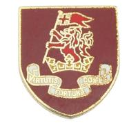Duke Of Wellington Lapel Pin Badge In Velvet Pouch Or Gift Box With Free Engraving ME41