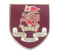 DUKE OF WELLINGTON MILITARY ENAMEL LAPEL PIN BADGE