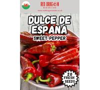 Dulce de Espana Sweet Pepper Seeds - 20 Fresh Dulce de Espana Sweet Pepper Seeds