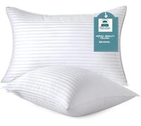 Dulce Lino Premium Hotel Quality Stripe Pillows Bounce Back Bed Pillow Hypoallergenic & Anti Dust Mite Resistant Pillows for Back, Stomach or Side Sleepers. (Stripe Pillow 2 Pack)