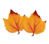 Dulousia Fall Leaf Napkins - 6x6in Disposable Maple Leaves Paper Napkin, Fall Thanksgiving Day Freindsgiving Napkins, Orange Leaf Autumn Party Luncheon Dinner Napkin Table Decor