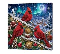 Dulov Self-Adhesive Pearl Art Kit with Frame 20x20cm Red Cardinal Bird