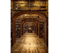 DULUDA 6x9 Wizard School Halloween Backdrop Vintage Magic Library Photography Background Wizard Bookshelf Halloween Party Decorations Children Adults Portrait Photoshoot Studio Props