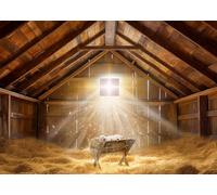 DULUDA 7x5 FT Christmas Manger Scene Backdrop Barn Stable Christian Party Decorations Nativity Scene Backdrop Birth of Jesus Nativity Holy Family Photography Background Banner Photo Props