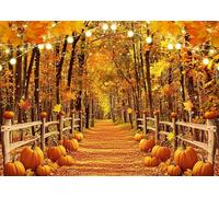 DULUDA 8x6 FT Fall Backdrop Autumn Maple Leaf Path Pumpkin Photo Shooting Background Natural Autumn Thanksgiving Party Decoration Adult Portrait Baby Shower Banner Supplies Photo Booth Prop